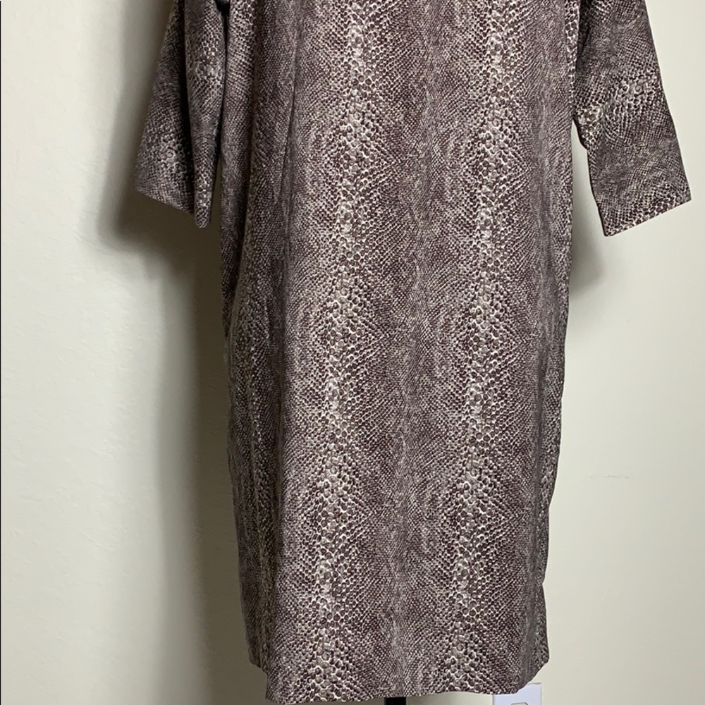Zara Dress - Picture 10 of 12